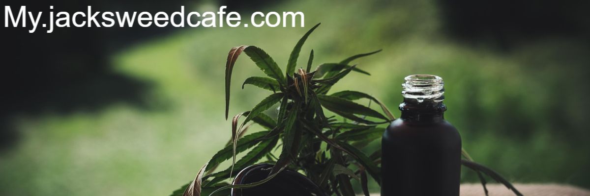 my.jacksweedcafe.com